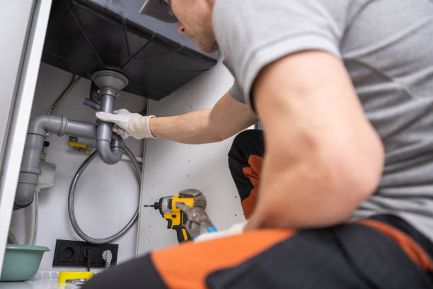 Best Garbage Disposal Repair and Installation  in Passapatanzy, VA